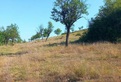 Teren de 82000 mp, în Roșiile - 3