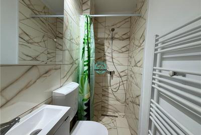 Apartament cu 3 camere decomandat, mobilat în Tudor Vladimirescu - 7