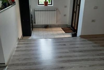 Casa cu mansarda de vanzare in Loc. Dorohoi Jud. Botosani - 10