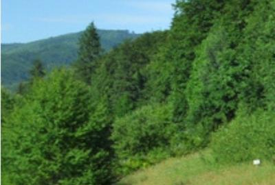 Teren de 3533 mp, în Exterior Vest - 2