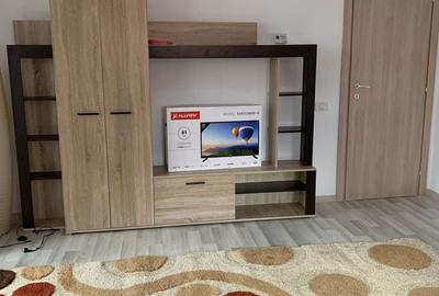 Apartament cu 2 camere decomandat în Valea Ialomiței - 5