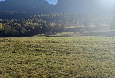 Vând teren zona Plaiul foi din Zărnești cu priveliște la Munții Piatra Craiului - 5