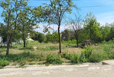 Teren de 2440 mp, în Podenii Vechi - 7