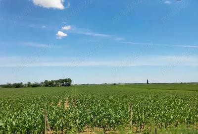 Casă cu 2 camere în Voivozi (Șimian) - 6