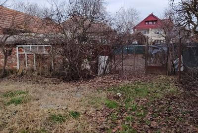 Casă cu 3 camere în Moșnița Veche - 8