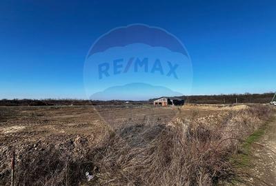 Teren agricol intravilan de 525 mp, în Sânmartin - 1