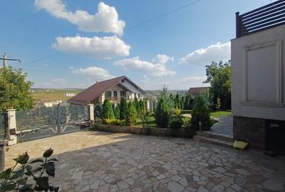 VILĂ CU 5 CAMERE - 150 MP UTILI - BECI, GARAJ, 717 MP TEREN, VIȘAN-BUCIUM - 9