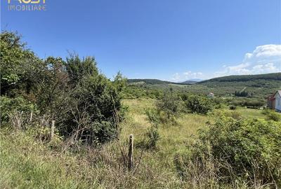 Teren de vanzare Dealul Dumitrei 1000 mp - 3