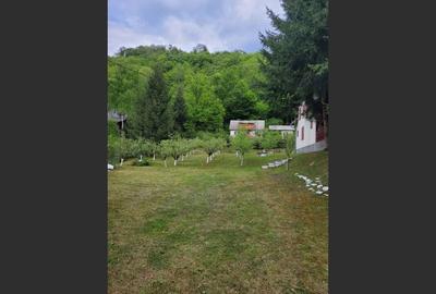 Proprietate Unică în Inima Naturii - Galaoaia, Mureș - 3