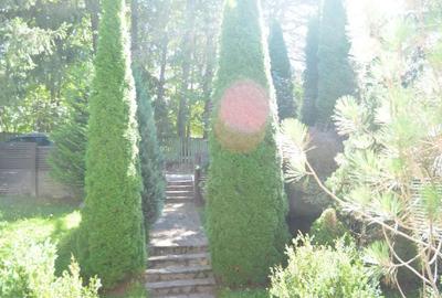 Casă cu 4 camere cu Teren 462 Mp în Cioplea - 6