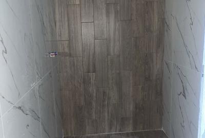 Casă cu 3 camere cu Teren 300 Mp în Dumbrăvița - 3