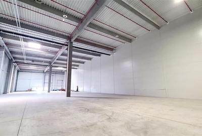 Spatiu industial 1700 mp , Timisoara exterior NORD - 6