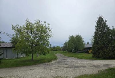 Teren de 38464 mp, în Beharca - 13