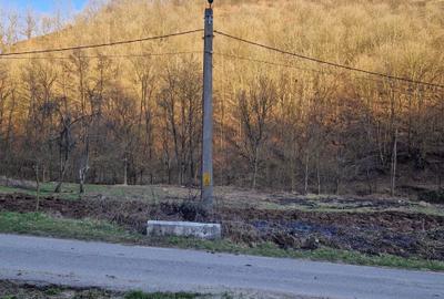 Spațiu comercial, în Hărțăgani - 4