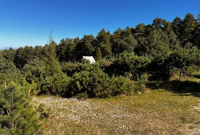 Teren Construcții intravilan de 600 mp, în Purcăreni