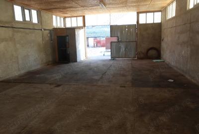 Spațiu comercial, de 250 mp, în Ineu - 2