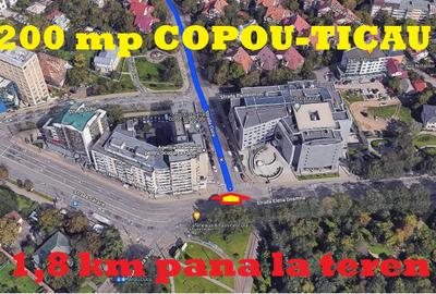 COPOU-ȚICĂU , 1200 MP ,1,6 km din TG.CUCU-Palatul de Justitie , toate utiltatile - 2