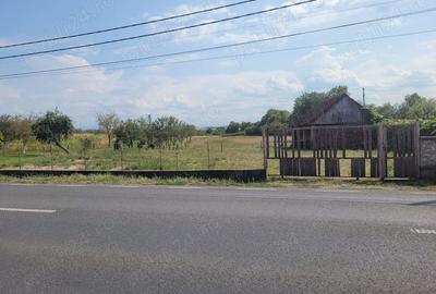 Casă în Topa de Criș - 2