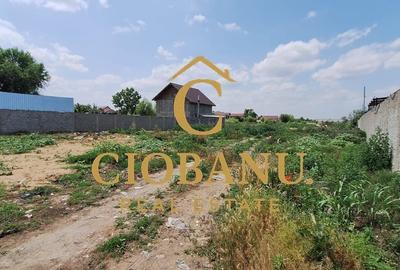 Teren Extravilan zona Cernele de vanzare