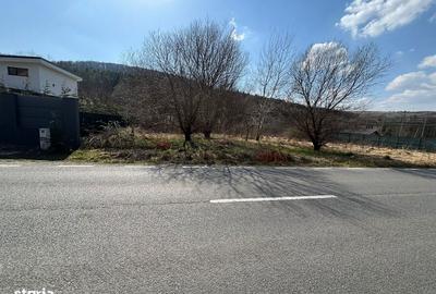 Teren de 2841 mp, în Făget - 3