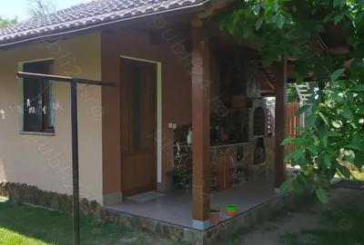 Casă cu 6 camere în Central - 1