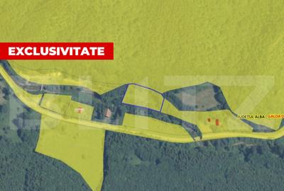 Teren intravilan 5542 mp, 2 CF-uri, Poiana Galdei - 1