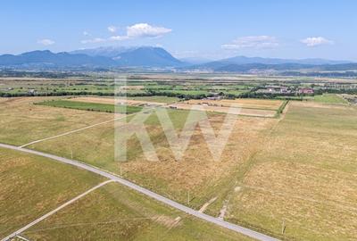 Teren : Parcele de 1.000 mp in Glajerie, Rasnov - comision 0% pentru cumparator! - 2