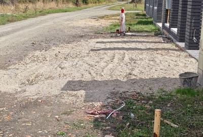 Teren rezidential Sacalaz - 7