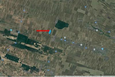 Cota de 1/4 din teren loc. Amarastii de Jos, Jud Dolj - 3