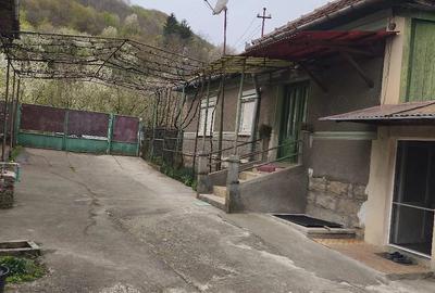 Casă cu 3 camere cu Teren 700 Mp în Hărău - 3