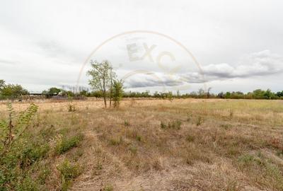 Teren intravilan 3000 mp, Oarja, Arges - amplasament excelent - 2