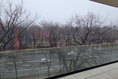 Apartament de lux cu terasă și vedere directă la Parcul Herăstrău - 9