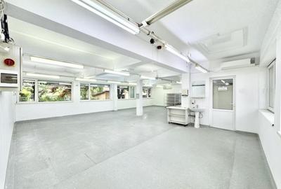 Spațiu industrial, de 2,021 mp, în Central - 15