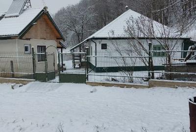 Casa, teren si padure de vanzare-40.000 mp, direct proprietar in Apuseni. - 6