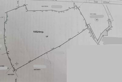 Teren de 10524 mp, în Plopi - 4
