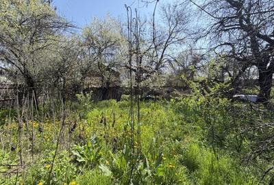 Casă cu Teren 1047 Mp în Lunca - 3