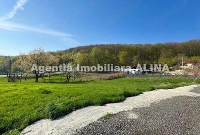 Teren intravilan 6.516 mp in Deva, prelungire str. Vulcan, spre Almas, Jud. Hunedoara. - 4