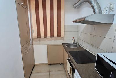 Garsonieră semidecomandată, mobilată în Dristor - 9