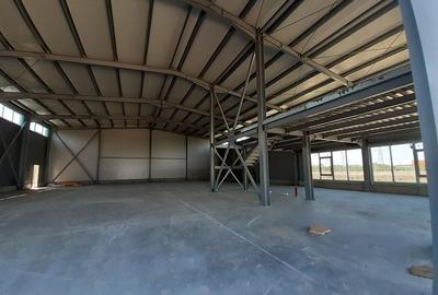 Zona Drumul intre Tarlale - hale noi -600mp, 1200mp, 2400mp