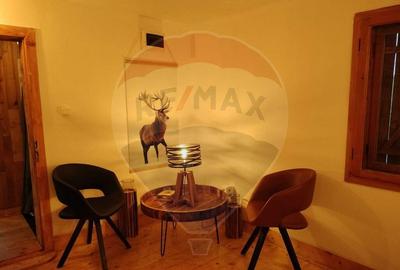 Casa de vacanta la munte de vanzare - 7