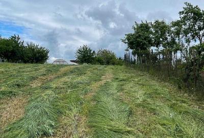 Casă cu 4 camere cu Teren 3000 Mp în Ianoșda - 2