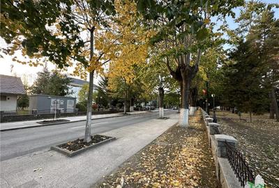 Vila cocheta de 5 camere cu 436 mp teren si toate utilitat - 18