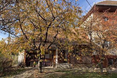 Casa familiala cu anexe - 2