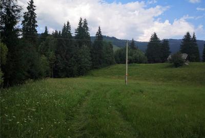 Teren de 50000 mp, în Central - 3
