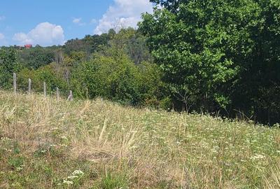 Spațiu comercial, în Nicolae Bălcescu - 4