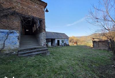 Casă cu 4 camere cu Teren 1887 Mp în Burjuc - 4