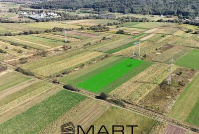 Teren extravilan de vanzare 5000 mp, ?elimbar (Mohu) - 1