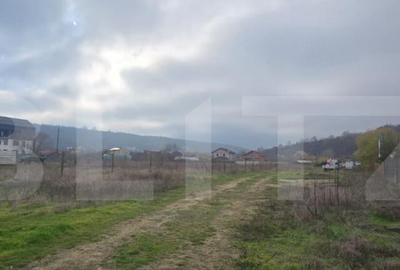 Teren intravilan de 2.000 mp, front 18 metri, Leamna de Jos - 1