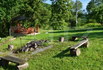 Casa de vacanta cu 4 camere,3300 mp teren,Valisoara - 2