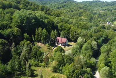 Casa de vacan?a de vanzare in comuna Bradule?, sat Bradetu, jude? Arge?. - 14